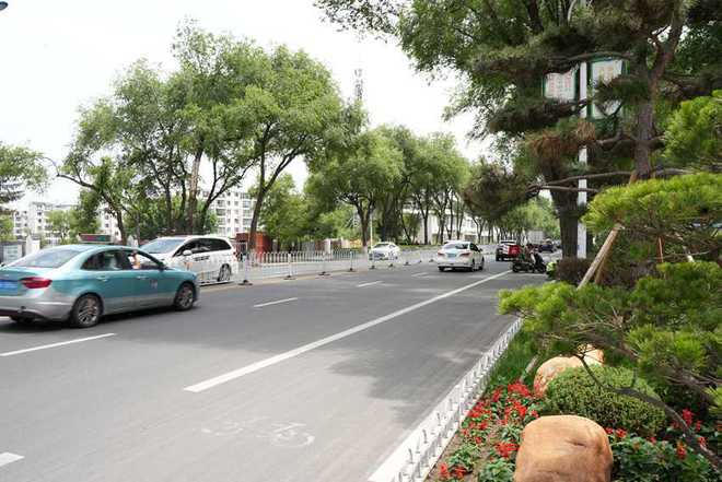 駐延企業(yè)包保打造10條精品街路 綠美直抵人心