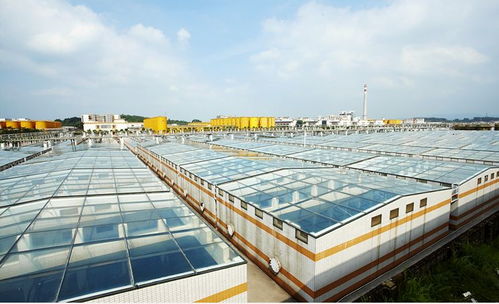 中國食品制造大王 調味品界的茅臺，億萬富豪工廠的“不打醬油”經營哲學